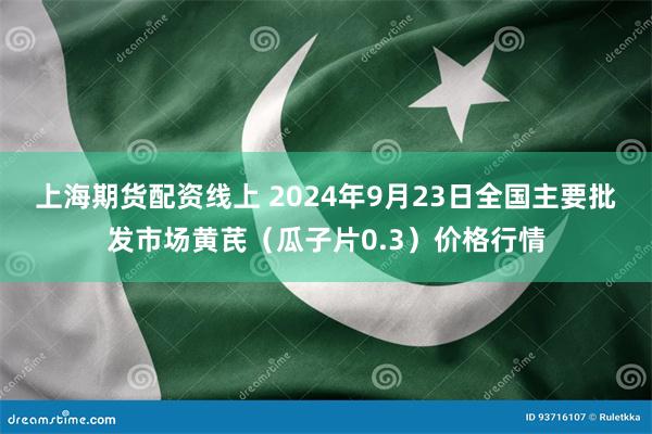 上海期货配资线上 2024年9月23日全国主要批发市场黄芪（瓜子片0.3）价格行情