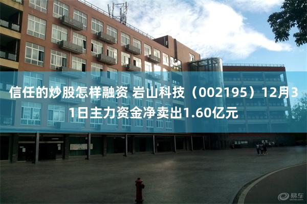 信任的炒股怎样融资 岩山科技（002195）12月31日主力资金净卖出1.60亿元