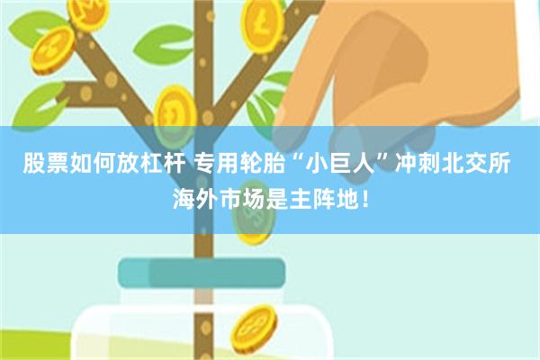 股票如何放杠杆 专用轮胎“小巨人”冲刺北交所 海外市场是主阵地！