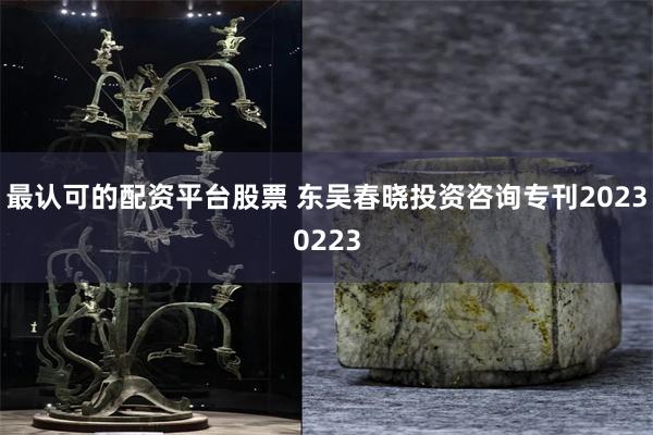 最认可的配资平台股票 东吴春晓投资咨询专刊20230223